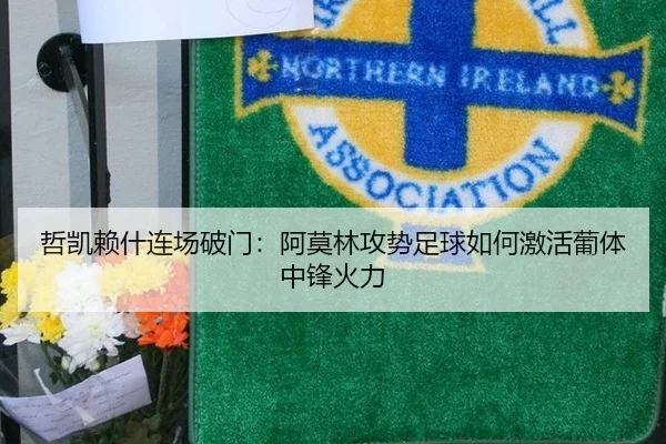 哲凯赖什连场破门：阿莫林攻势足球如何激活葡体中锋火力